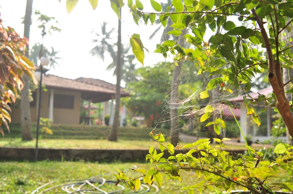 Soba Lanka Holiday Resort Melsiripura Extérieur photo