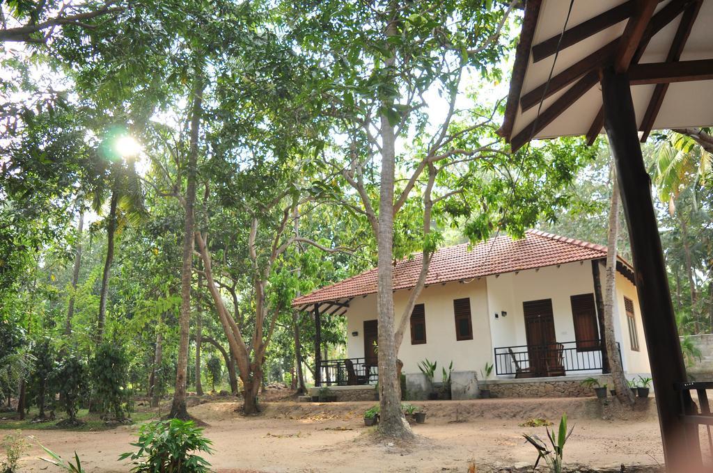 Soba Lanka Holiday Resort Melsiripura Extérieur photo