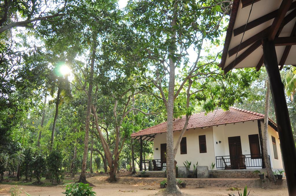 Soba Lanka Holiday Resort Melsiripura Extérieur photo
