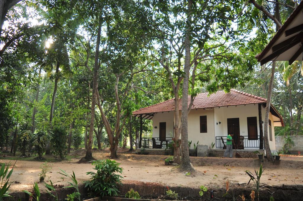 Soba Lanka Holiday Resort Melsiripura Extérieur photo