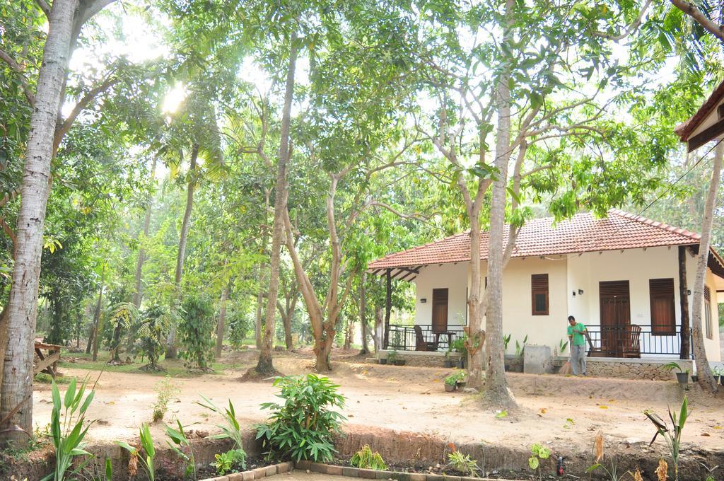 Soba Lanka Holiday Resort Melsiripura Extérieur photo