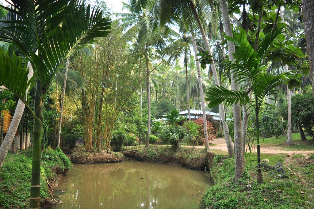 Soba Lanka Holiday Resort Melsiripura Extérieur photo