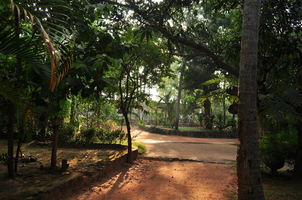 Soba Lanka Holiday Resort Melsiripura Extérieur photo