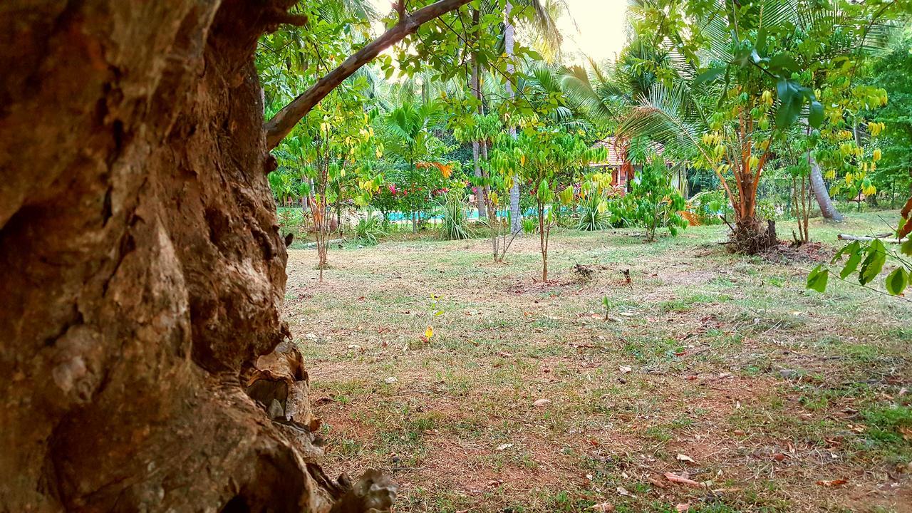 Soba Lanka Holiday Resort Melsiripura Extérieur photo