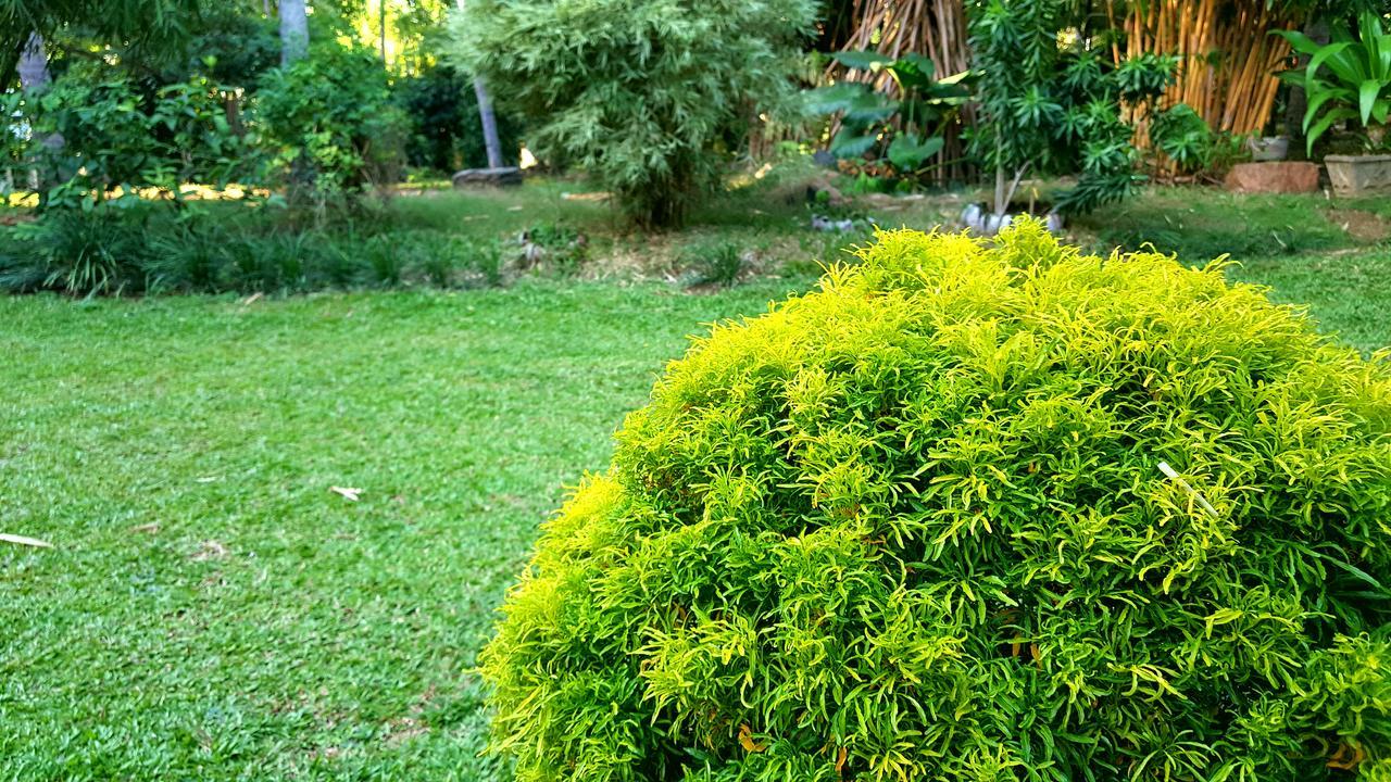 Soba Lanka Holiday Resort Melsiripura Extérieur photo