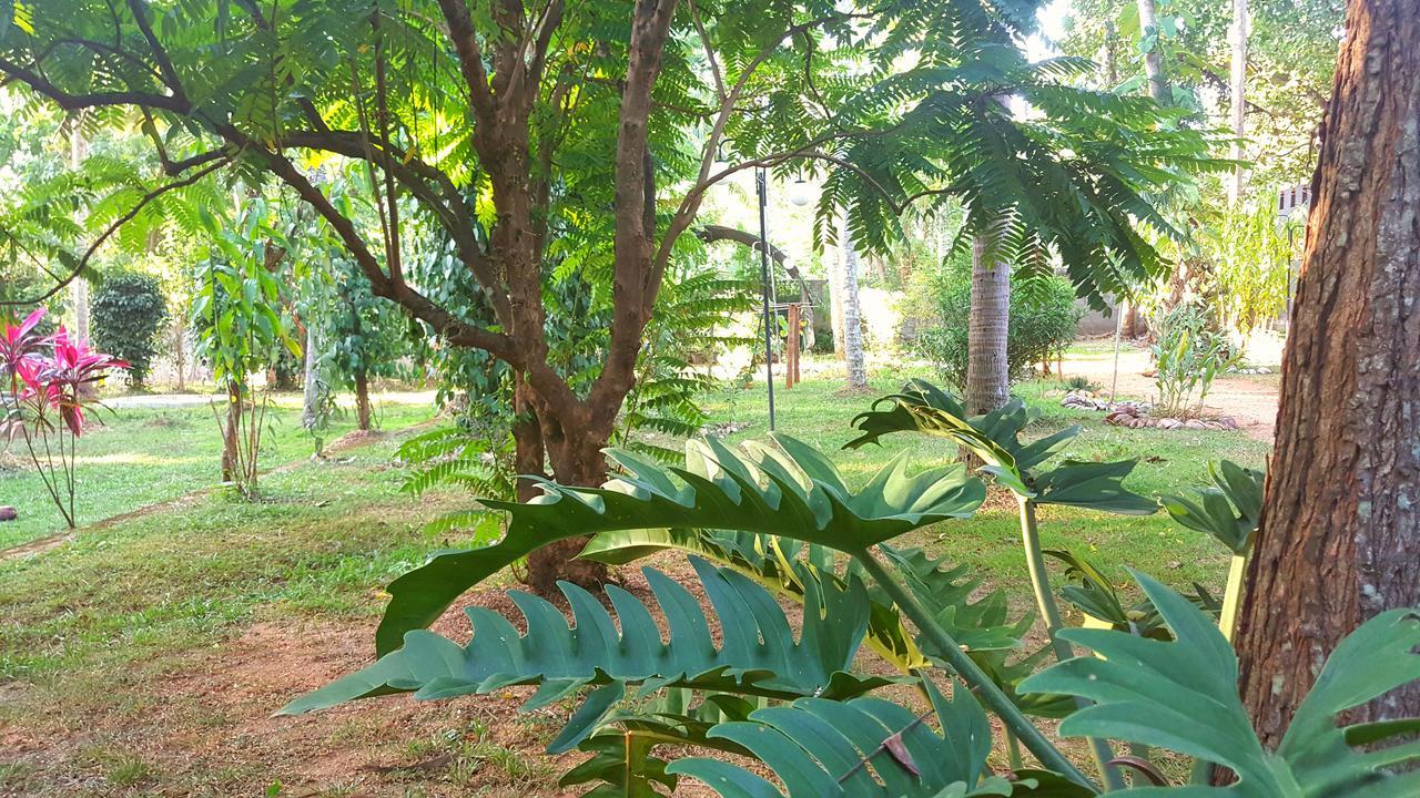 Soba Lanka Holiday Resort Melsiripura Extérieur photo
