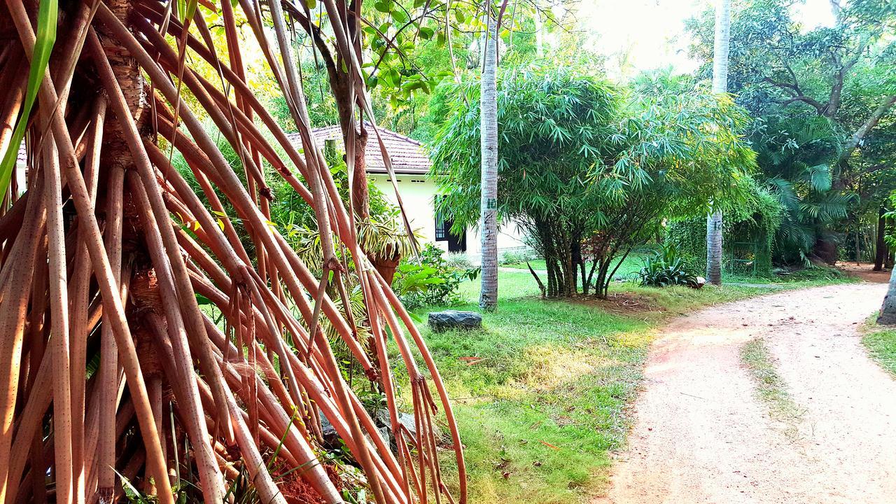 Soba Lanka Holiday Resort Melsiripura Extérieur photo