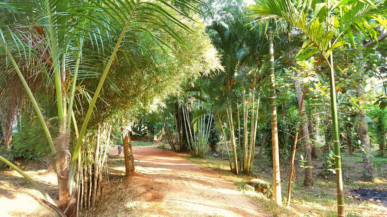 Soba Lanka Holiday Resort Melsiripura Extérieur photo