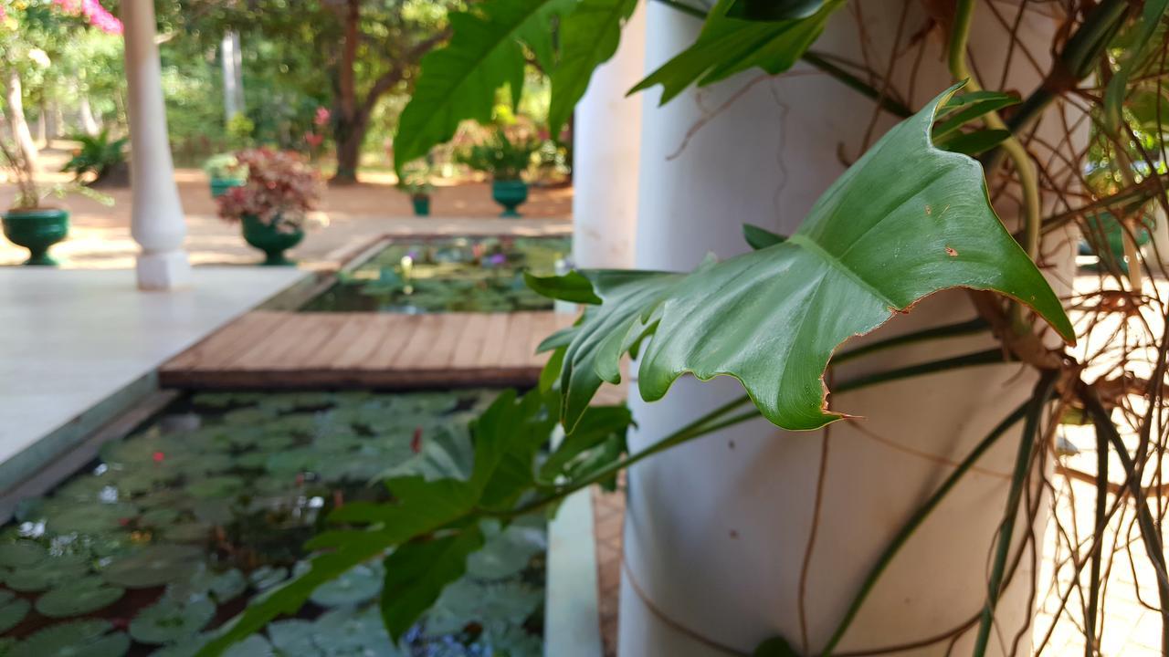Soba Lanka Holiday Resort Melsiripura Extérieur photo