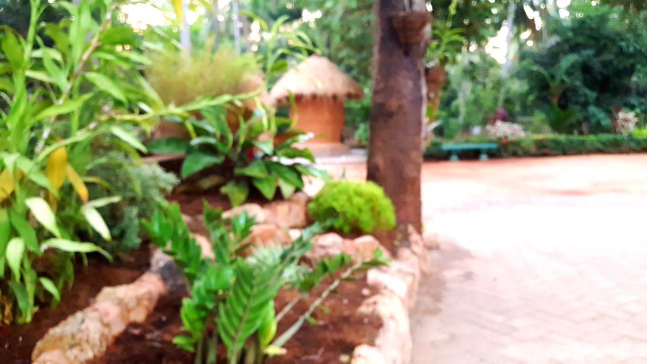 Soba Lanka Holiday Resort Melsiripura Extérieur photo