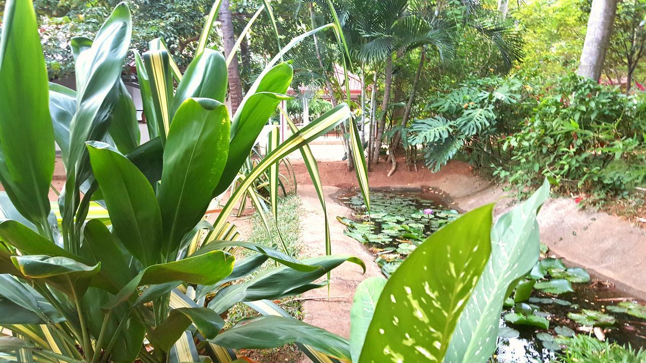 Soba Lanka Holiday Resort Melsiripura Extérieur photo
