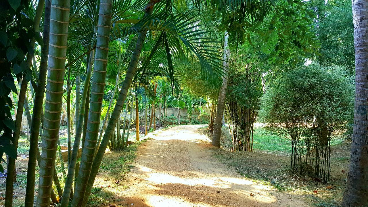 Soba Lanka Holiday Resort Melsiripura Extérieur photo