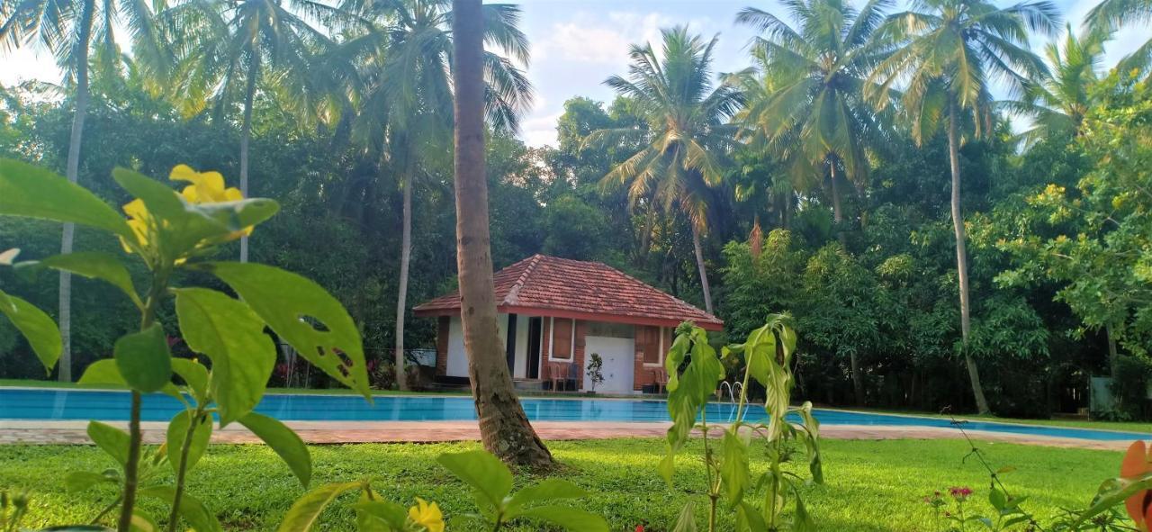 Soba Lanka Holiday Resort Melsiripura Extérieur photo